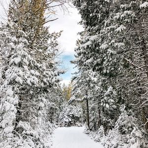 Meet your Posher, Sukh